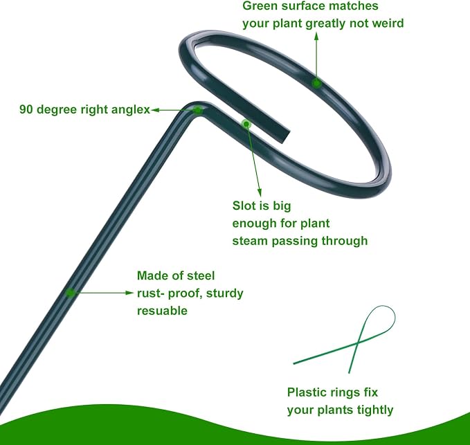 2 Pack Plant Support Stakes, Three Sizes Plant Support Rings - Image 3