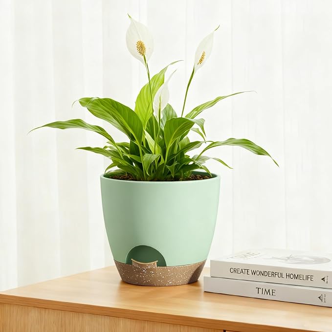 Plant Pots 8/7.5/7/6.5/6 Inch Self Watering Pots, 5 Pack Planters - Image 5