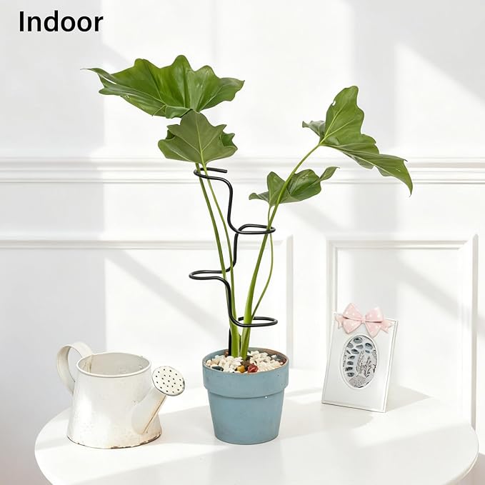 3PCS Indoor Plant Support Stakes - Image 4