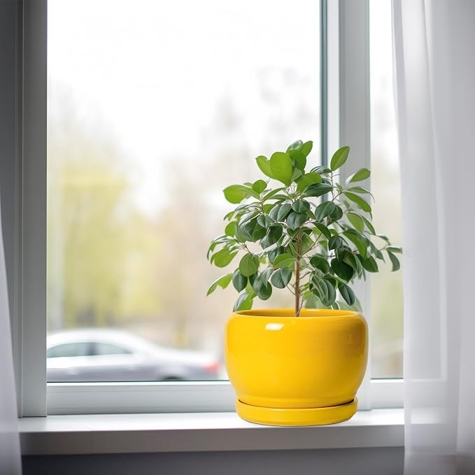 SQOWL Ceramic Plant Pot - Image 4