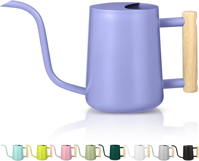 Watering Can Indoor Plants, 35oz Small Stainless Steel Metal Watering Can by GUKJOB