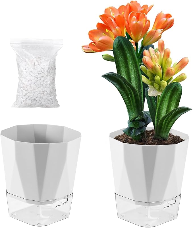 2 Pack Self Watering Pots for Plants, 8.4" Self Watering Planters Large African by Planterhoma