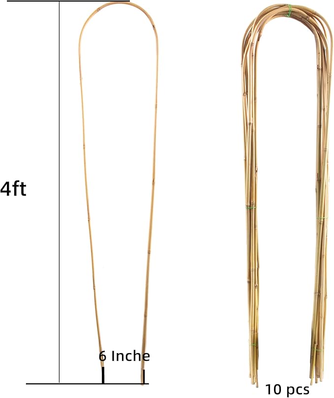 Avalution 10 Pcs Natural U-Hoops Bamboo Garden Trellis, 4 Ft Bamboo Trellis - Image 2