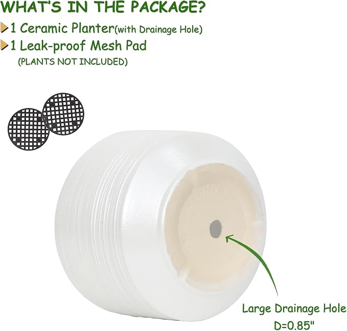 10 Inch Ceramic Plant Pot with Drainage – Large Flower Pot - Image 2