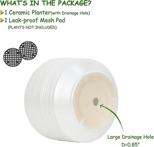 10 Inch Ceramic Plant Pot with Drainage – Large Flower Pot - Image 2