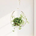 Mid Century Boho Macrame Metal Planter by Adnkwolivt