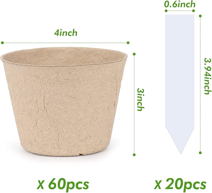 homenote Peat Pots - Image 4