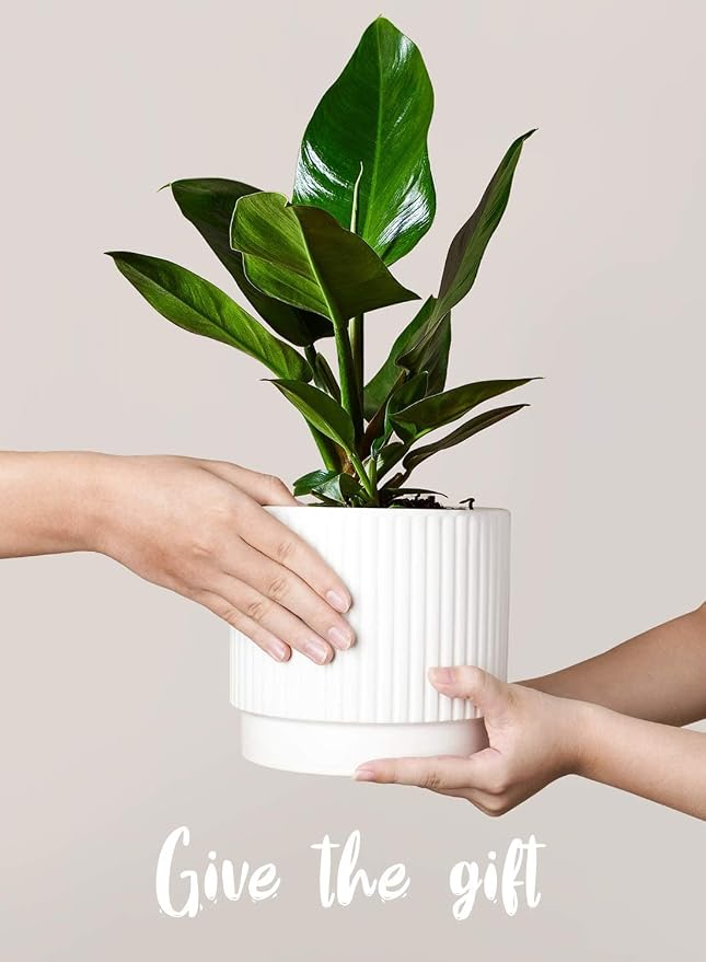 LE TAUCI Ceramic Pots for Plants, 8+6.7+5.5 Inch Plant Pots Indoor, Flower Pot - Image 4