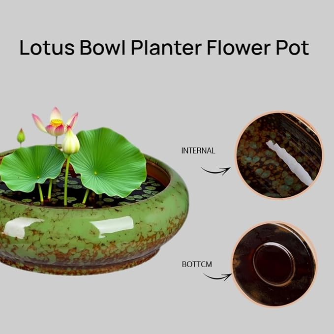 7.3 Inch Succulent Planters Pots Shallow Ceramic Glazed Planter Pots, Lotus - Image 3