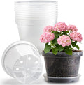 10 Pack 10 Inch Clear Nursery Pots by RooTrimmer