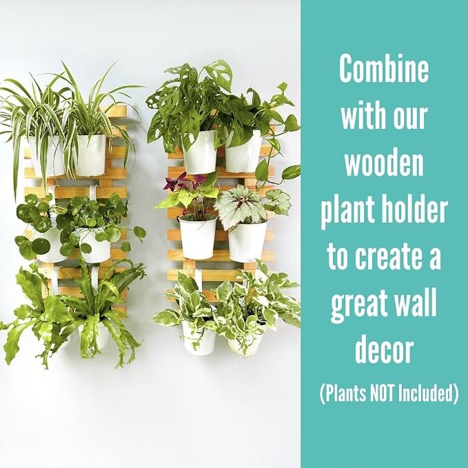 LaLaGreen Hanging Planters - Image 6