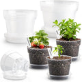 12 Pack 10/8/6 Inch Clear Nursery Pots by BTPLASTIK