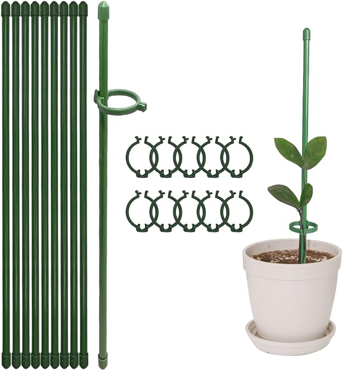 12 Inch Plant Support Stakes, by kvzvk