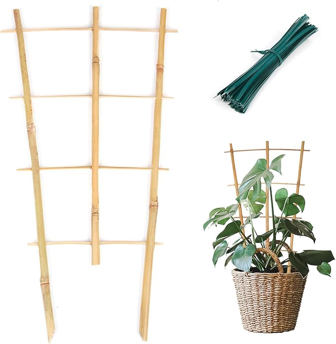 Bamboo Trellis 10 Pack, 16in Fan-Shaped Plant Trellis Indoor by Cambaverd