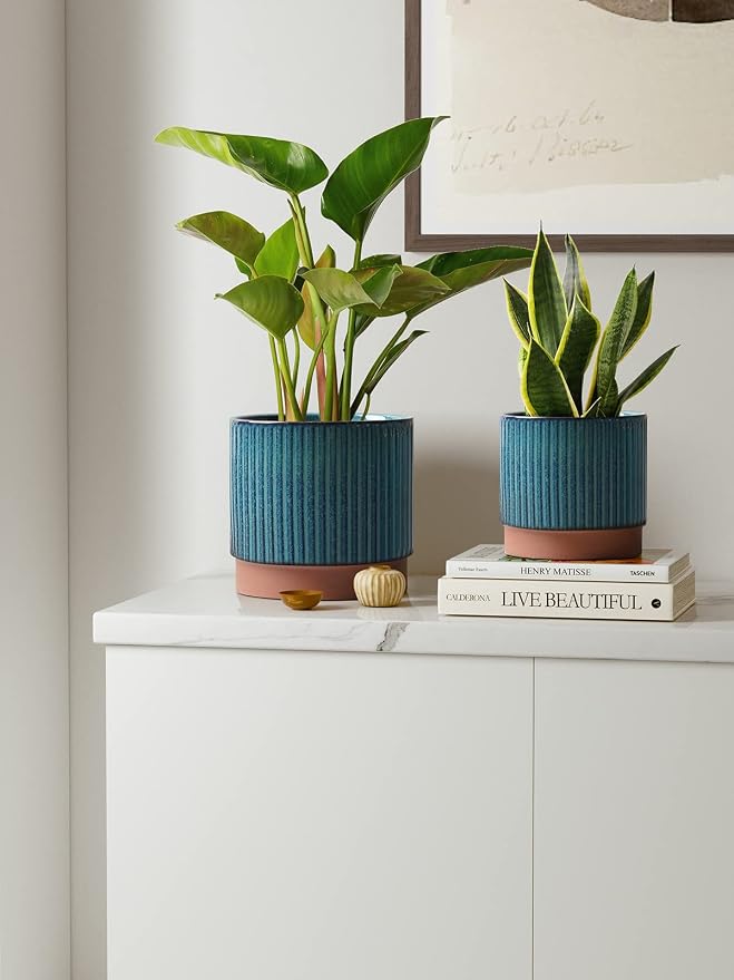LE TAUCI Ceramic Plant Pots - Image 2