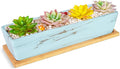Succulent Pots - 12.1 Inch Large Succulent Pots by ARTKETTY
