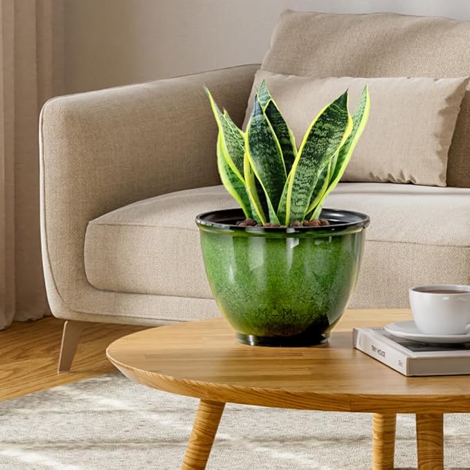 8 Inch Plastic Plant Pots, Glossy Smooth Finish Planter - Image 6