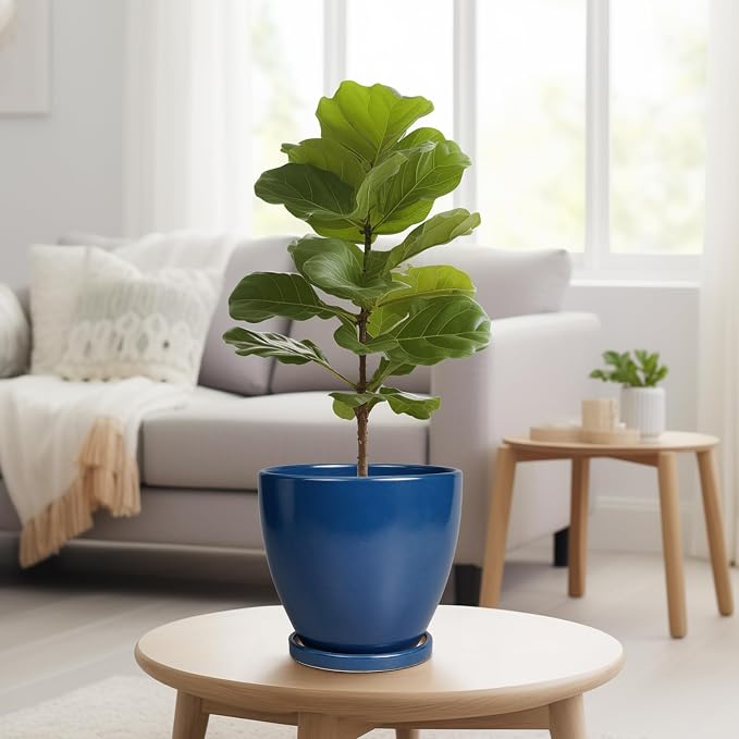 Ceramic Plant Pot - Image 4