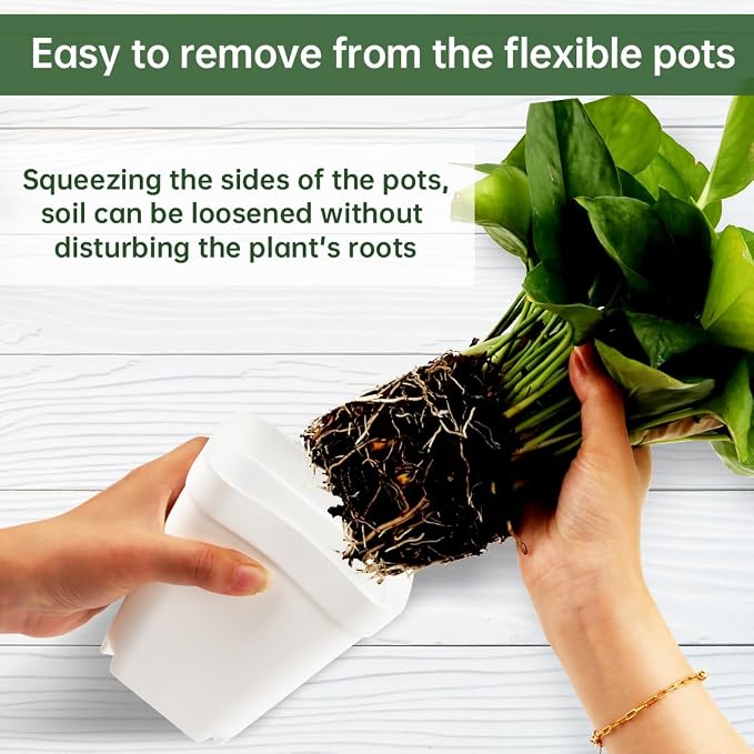 80 Pcs Nursery Pots 4 Inch, Plastic Seed Starting Pot - Image 2