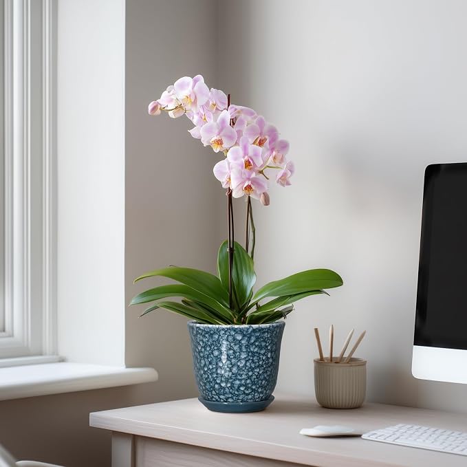 Ceramic Pots for Plants - Image 3