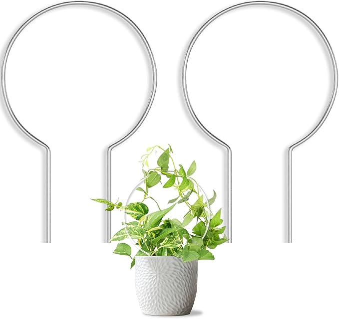 2 Pack Round Plant Trellis for Potted Plants Indoor Outdoor, Acrylic Small by Unknown
