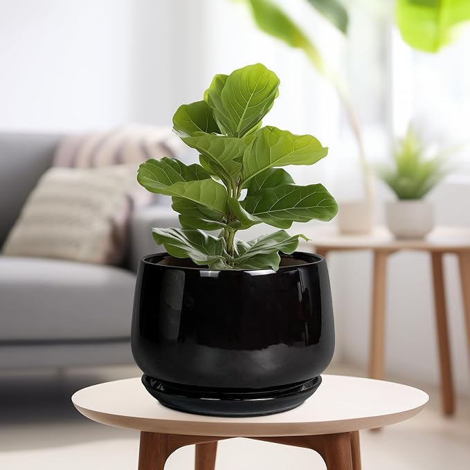G EPGardening Ceramic Plant Pots - Image 4