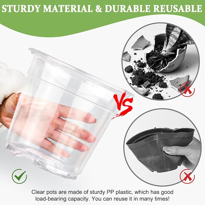 60 Pack 6 Inch Clear Nursery Pots - Image 4