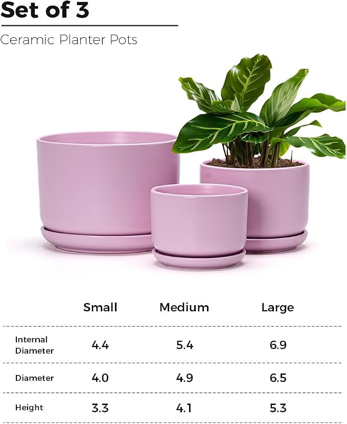 Ton Sin Pink Flower Pots, Ceramic Planter Pot - Image 3