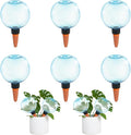 6pcs Large Plant Self Watering Globes, 17.5 oz Plastic Water Bulbs Top Fill by GEWOSI