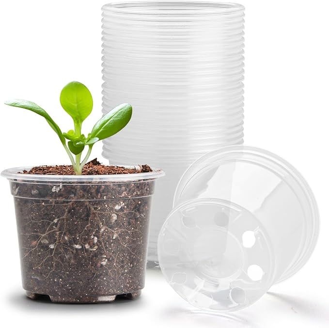 Clear Seedling pots 20 Pack 3.2 Inches Round by RooTrimmer