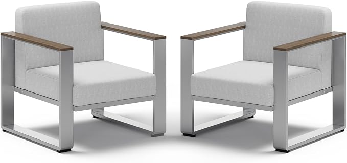 2 Pieces Outdoor Aluminum Armchair, Modern Patio Patio Furniture by ComfCove