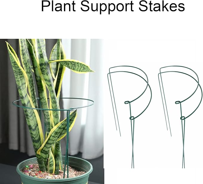 Plant Support Stakes - Image 4