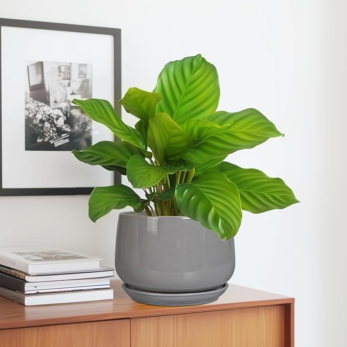 G EPGardening Modern Ceramic Planter - Image 5
