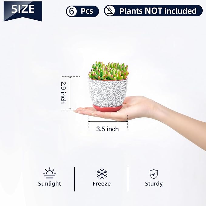Selamica Ceramic Succulent Pots, 3.5 Inch Small Plant Pots - Image 3