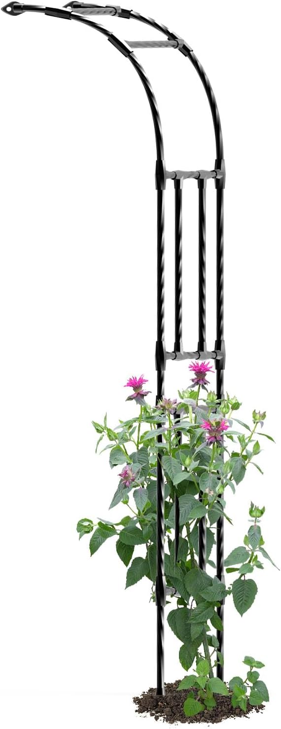 Half Garden Arch by TrellumeGardenHome
