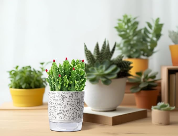 Self Watering Pots for Indoor Plants, 5 & 4 Inch Stylish Flower Pots - Image 7