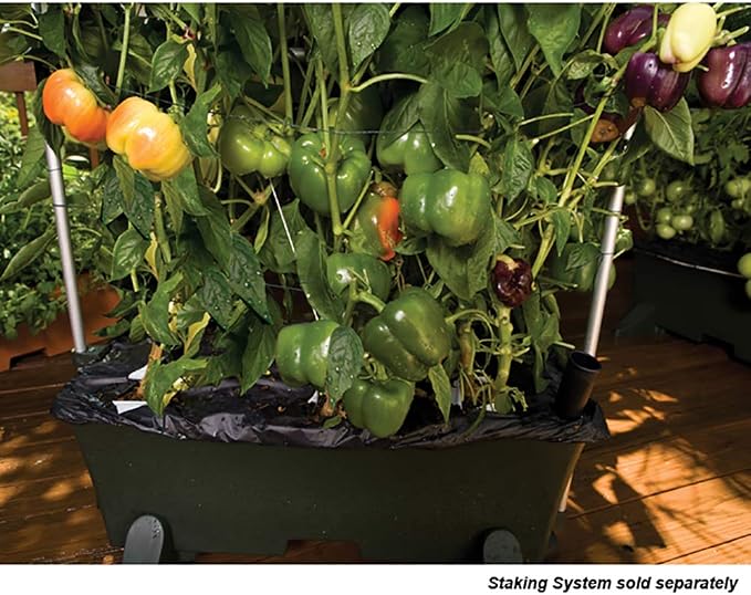 EarthBox 80151 Garden Kit - Image 11