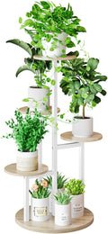 Plant Stand Indoor 5 Tier 8 Potted Multiple Flower Pot Holder by INGIORDAR