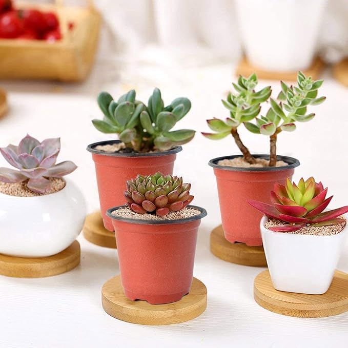 100 Pcs 3.5 Inch Plastic Seedlings Plants, Nursery Pots, Seed Starting Pot - Image 7
