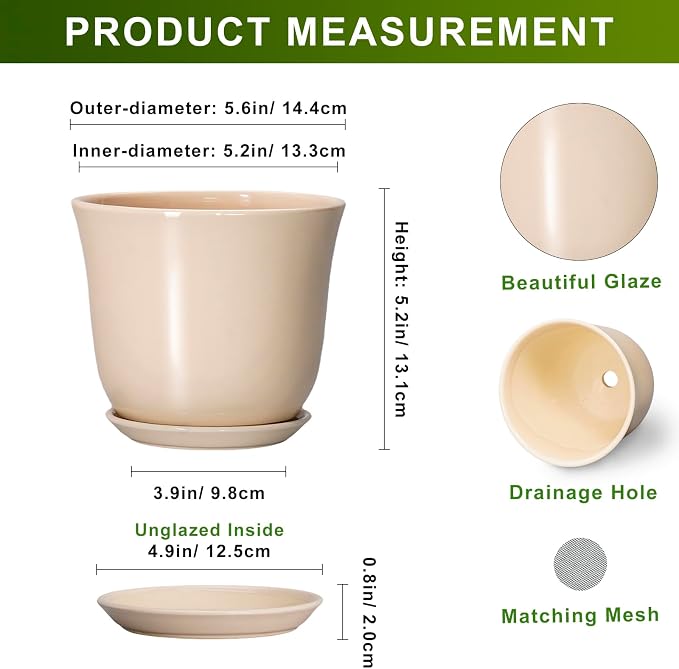 Ceramic Pots for Plants - Image 2