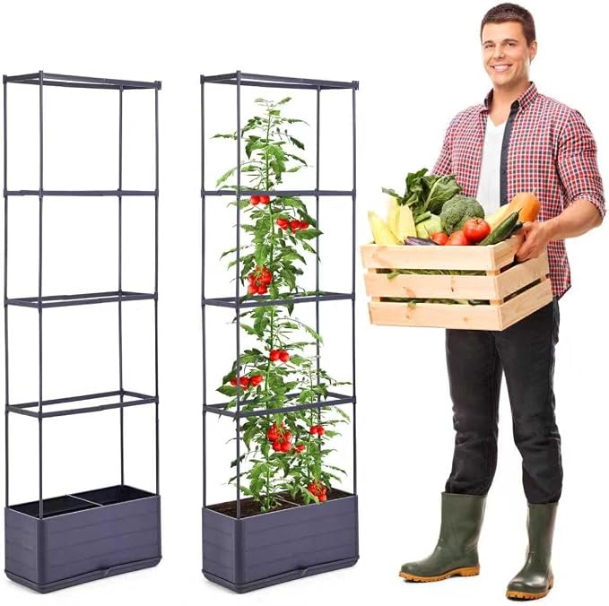 GENMOUS 2 Pack Rectangle 4 Tier Tomato Planter, Raised Garden Bed Tall 45'' by GenMousCo