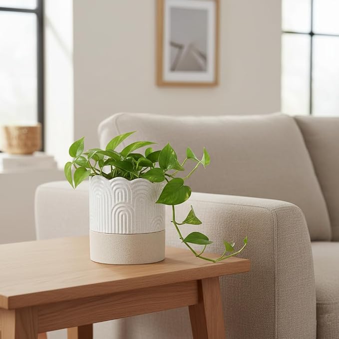 Nihow Self Watering Plant Pot: 4.5 Inch Ceramic Planter - Image 7