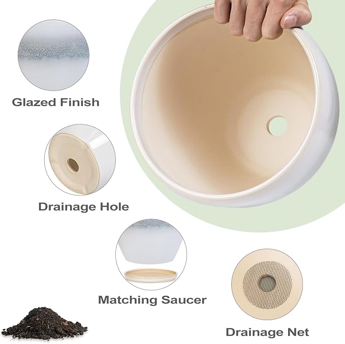 Ceramic Planter - Image 6