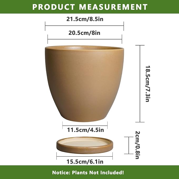 Ceramic Pots for Plants - Image 3