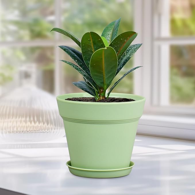 6 inch Plastic Nursery Pots, 16 Pack Plant Pots - Image 6