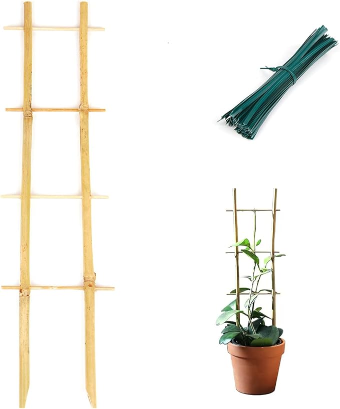 Bamboo Trellis, 16in Ladder-Shaped Trellis by Cambaverd