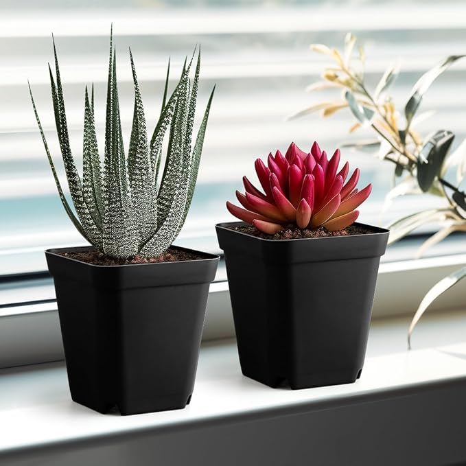 80 Pcs Nursery Pots 4 Inch, Plastic Seed Starting Pot - Image 7