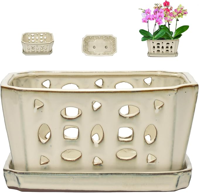 W&W Orchid Pot with Holes and Saucer by WWHomeDecor