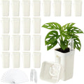 LemonRoad 20 Pack 2" Small Self Watering Pots by Unknown