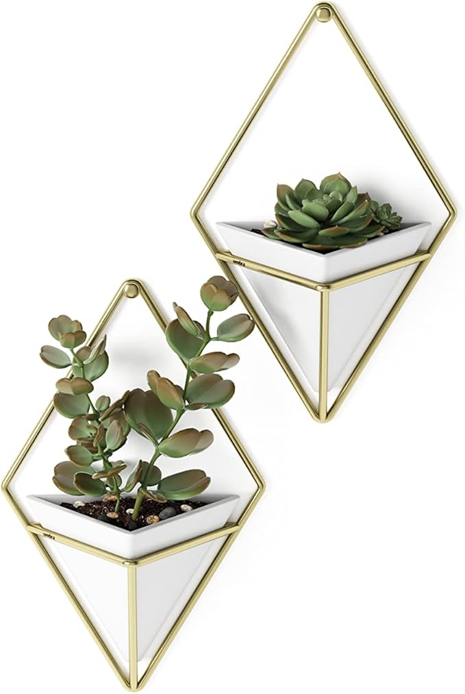 Umbra Trigg Hanging Planter Vase Wall Decor, Faux Plants, and More by Umbra